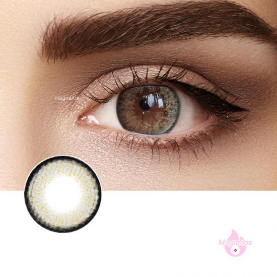 Magmoos Aurum Brown Coloured Contact Lenses